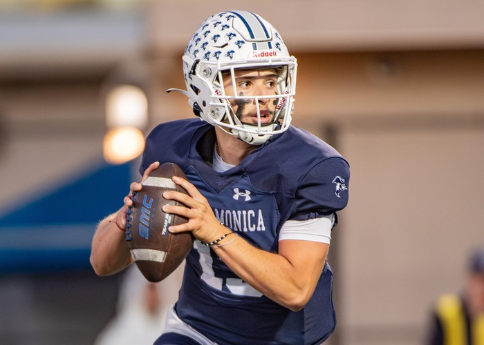 Quaterback in white helmet and blue jersey holding a football and looking downfield
